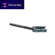 Polyaxial pedicle screw 11.114.72.030