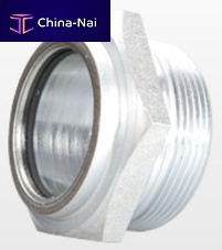 Sight glass with hexagonal head
