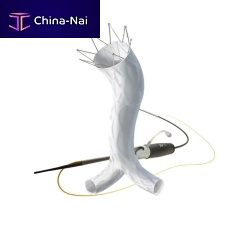 Abdominal aorta stent graft AFX® ePTFE