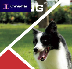    Guangdong Vking Intelligent Technology Co., Ltd.