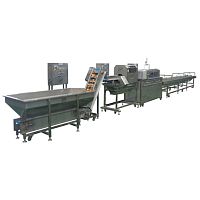Onion peeling machine P-O800