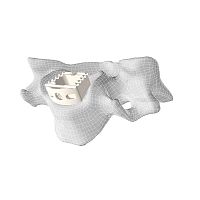 Cervical interbody fusion cage CL5anteriorPEEK