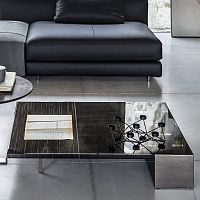Contemporary coffee table AKAoakebonysucupira