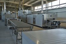 Biscuit production line