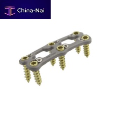 Cervical arthrodesis plate IIIlockingmetallic2 levels