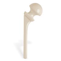 Temporary hip spacer 884407