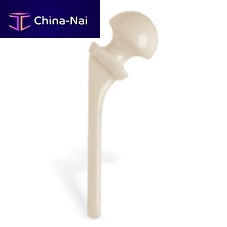 Temporary hip spacer 884407