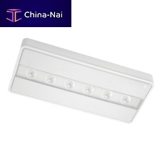 Ceiling emergency light NAOSrectangularLEDpolycarbonate