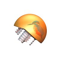 Humeral head prosthesis HELMET