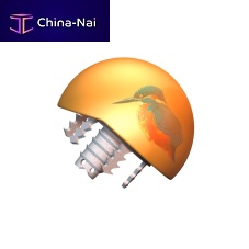 Humeral head prosthesis HELMET