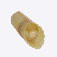Artery vascular bioprosthesis T08with valvepediatric