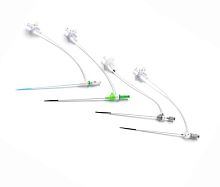 Vascular access sheath hydrophilic
