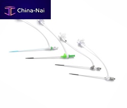 Vascular access sheath hydrophilic