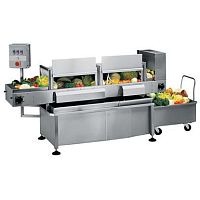 Vegetable washing machine 660068