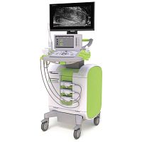 On-platform ultrasound system ExactVufor urology ultrasound imagingB/Wtouchscreen