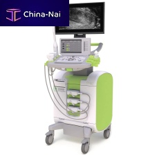 On-platform ultrasound system ExactVufor urology ultrasound imagingB/Wtouchscreen