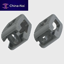 Lumbar interbody fusion cage VARIANposteriortitaniumexpandable