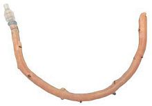 Femoral artery vascular bioprosthesis AngioGraft®femoral veinallograft