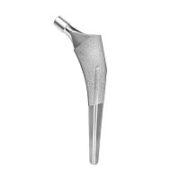 Cementless femoral stem TPS