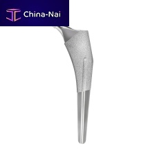 Cementless femoral stem TPS
