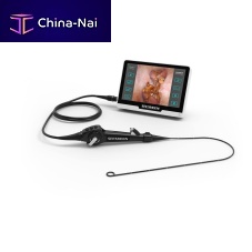 Video ureteroscope UR-1331