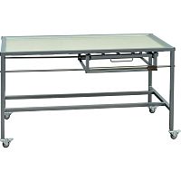 Veterinary X-ray table VX-01e