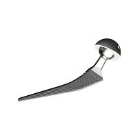 Revision hip prosthesis OPTIMAcementless