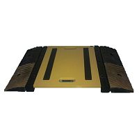 Axle scale IDS889 series
