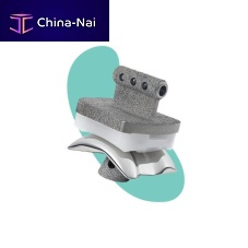 Cementless total ankle prosthesis SALTO TALARIS