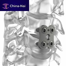 Cervical arthrodesis plate PM BUTTERFLY®lockingtitanium2 levels