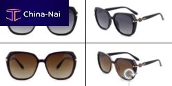    WENZHOU FLYER IMPORT AND EXPORT CO.,LTD