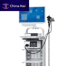 Endoscopy column EVIS X1