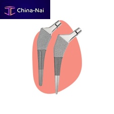 Minimally invasive hip prosthesis ANTHOLOGYcementless