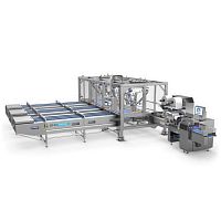 Delta robot loadingfor the food industry