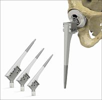 Primary hip prosthesis 7033 seriescementless
