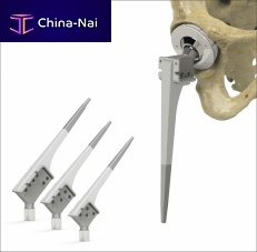 Primary hip prosthesis 7033 seriescementless