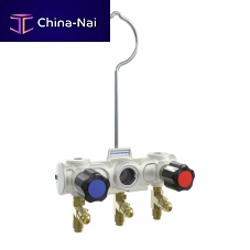 2-channel manifold ACC25561