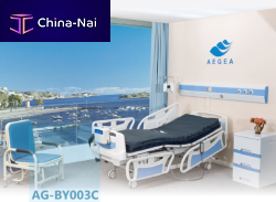   Jiangsu Aegean Technology Co., Ltd.