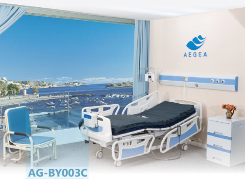   Jiangsu Aegean Technology Co., Ltd.