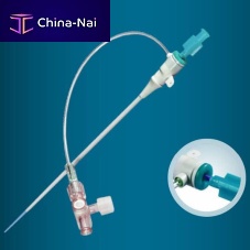 Femoral access sheath Onset with hemostatic valve