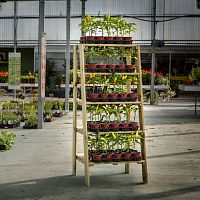 Plant display rack Five-Tierwoodendouble-sided5-shelf