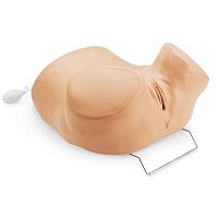 Pelvic examination simulator R10186for IUD insertionfemaleadult