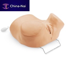 Pelvic examination simulator R10186for IUD insertionfemaleadult
