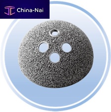 Cementless acetabular prosthesis G20