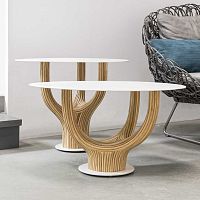 Contemporary coffee table ACACIArattansteeloval