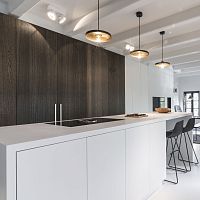 Contemporary kitchen CONSTANTIN LOFTwoodenislandwith cooktop