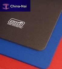 Exercise mat Gym