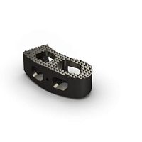 Thoraco-lumbar interbody fusion cage transforaminaltitanium