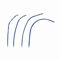 Mapping catheter Eel Cathelectrophysiologic monitoringcardiac