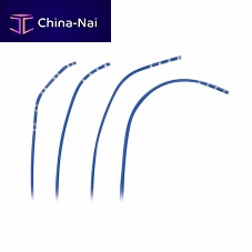 Mapping catheter Eel Cathelectrophysiologic monitoringcardiac